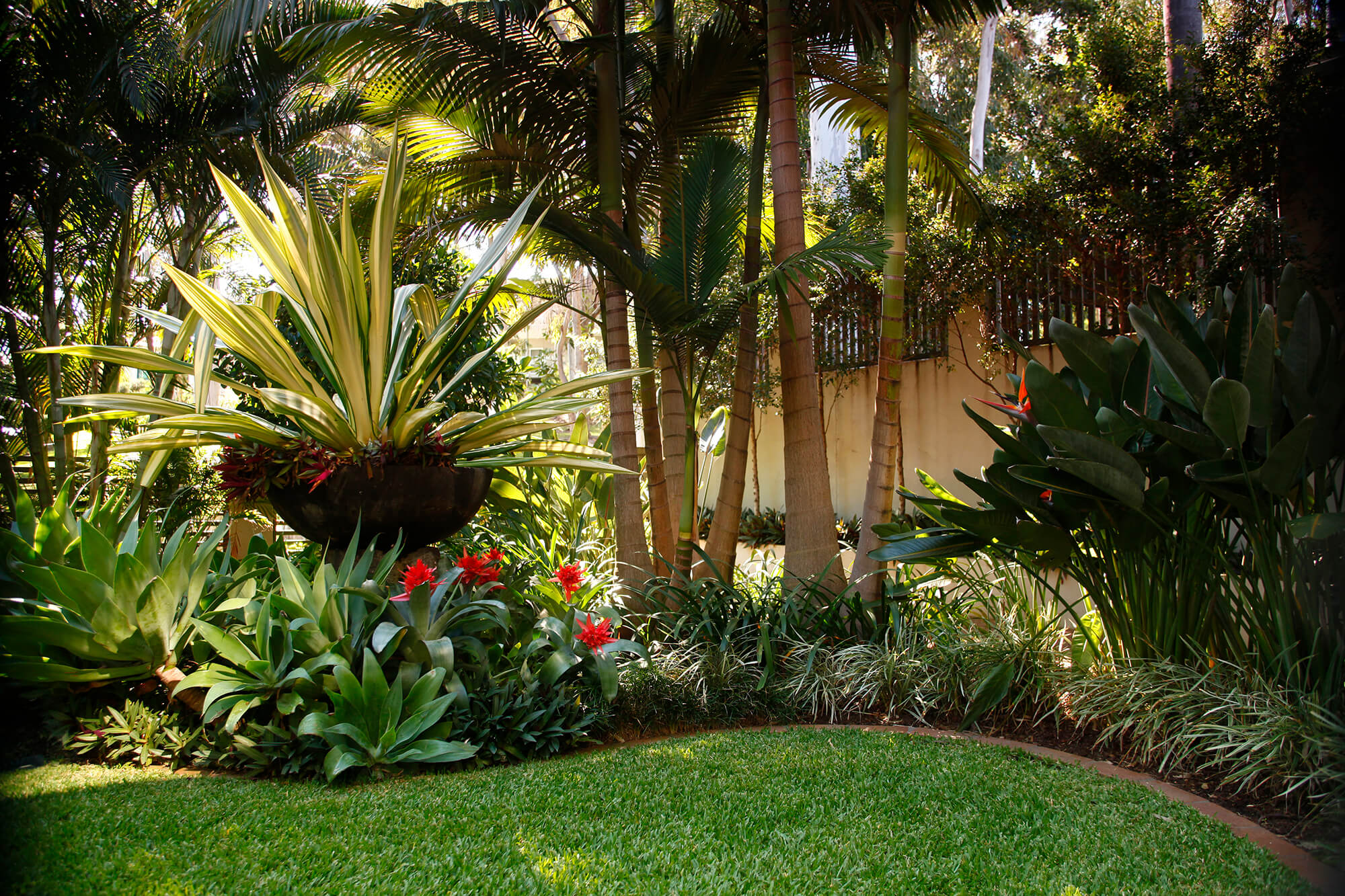 Tropical garden Coorparoo – Boss Gardenscapes