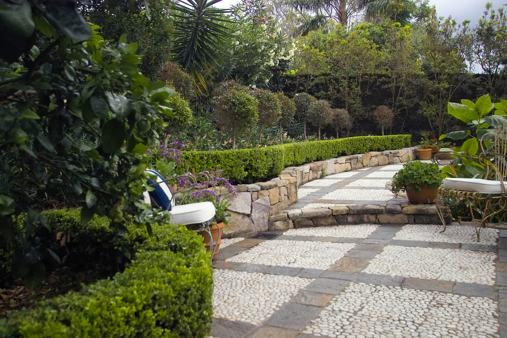 French provincial gardens Indooroopilly – Boss Gardenscapes