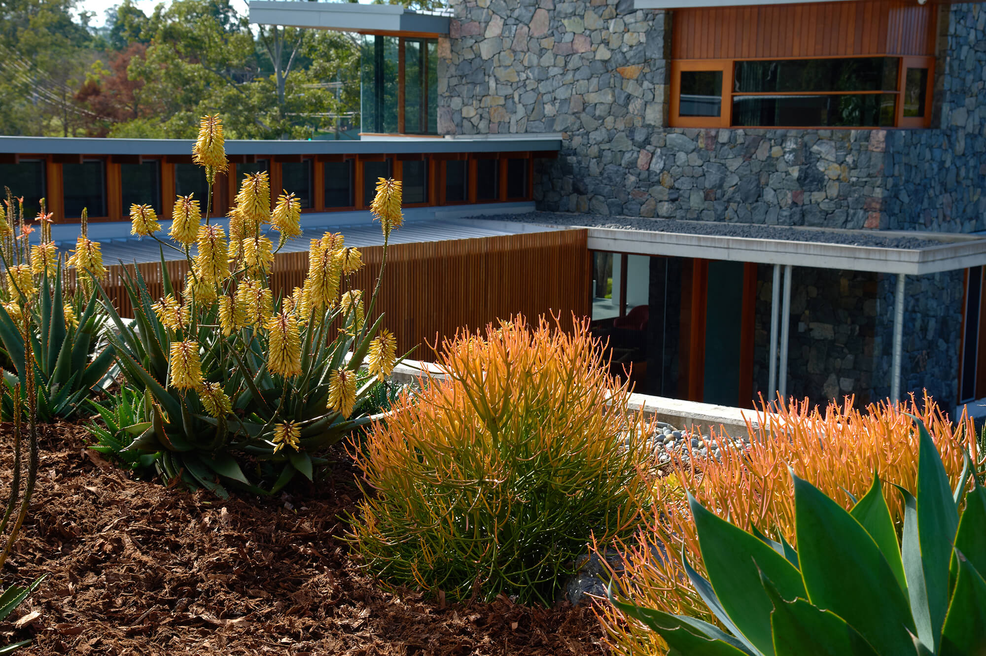 Brookfield contemporary landscaping Boss Gardenscapes