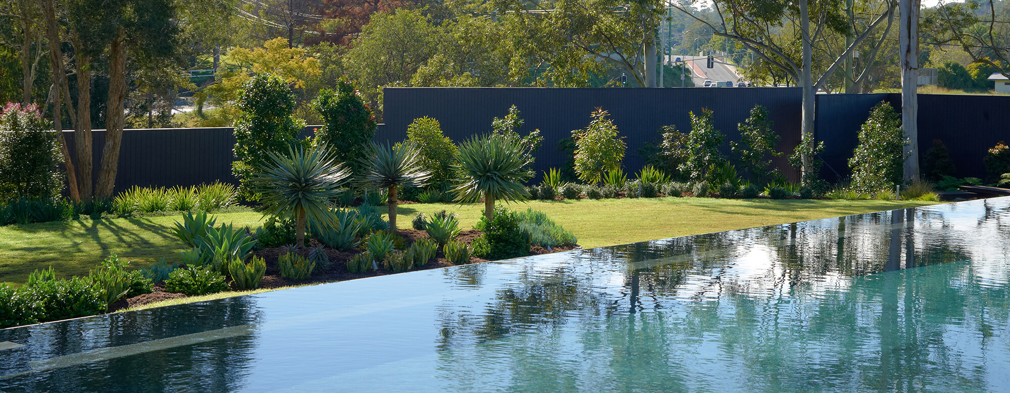 brookfield contemporary arid landscaping pool landscaping