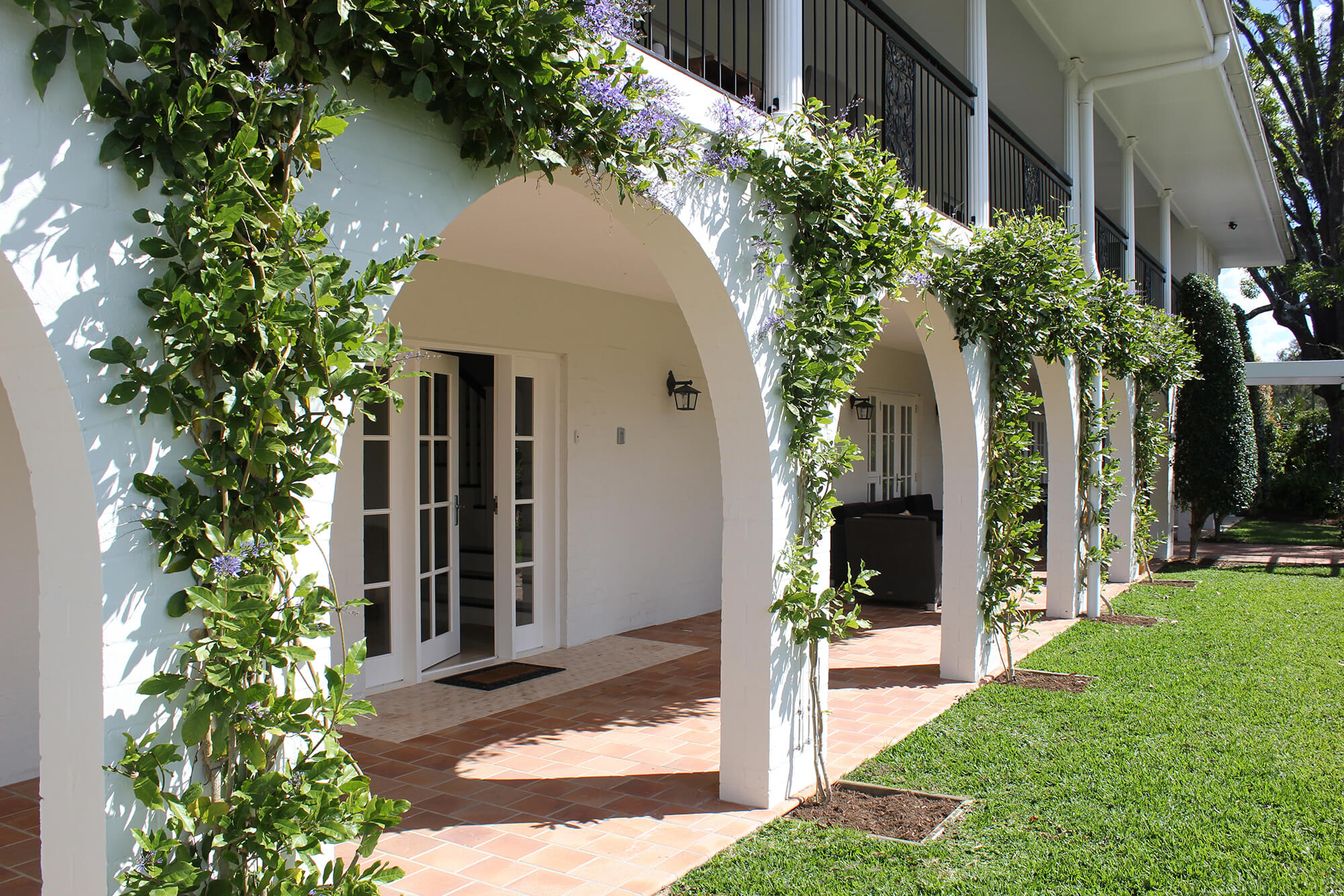 redcliffe arches with petrea climber
