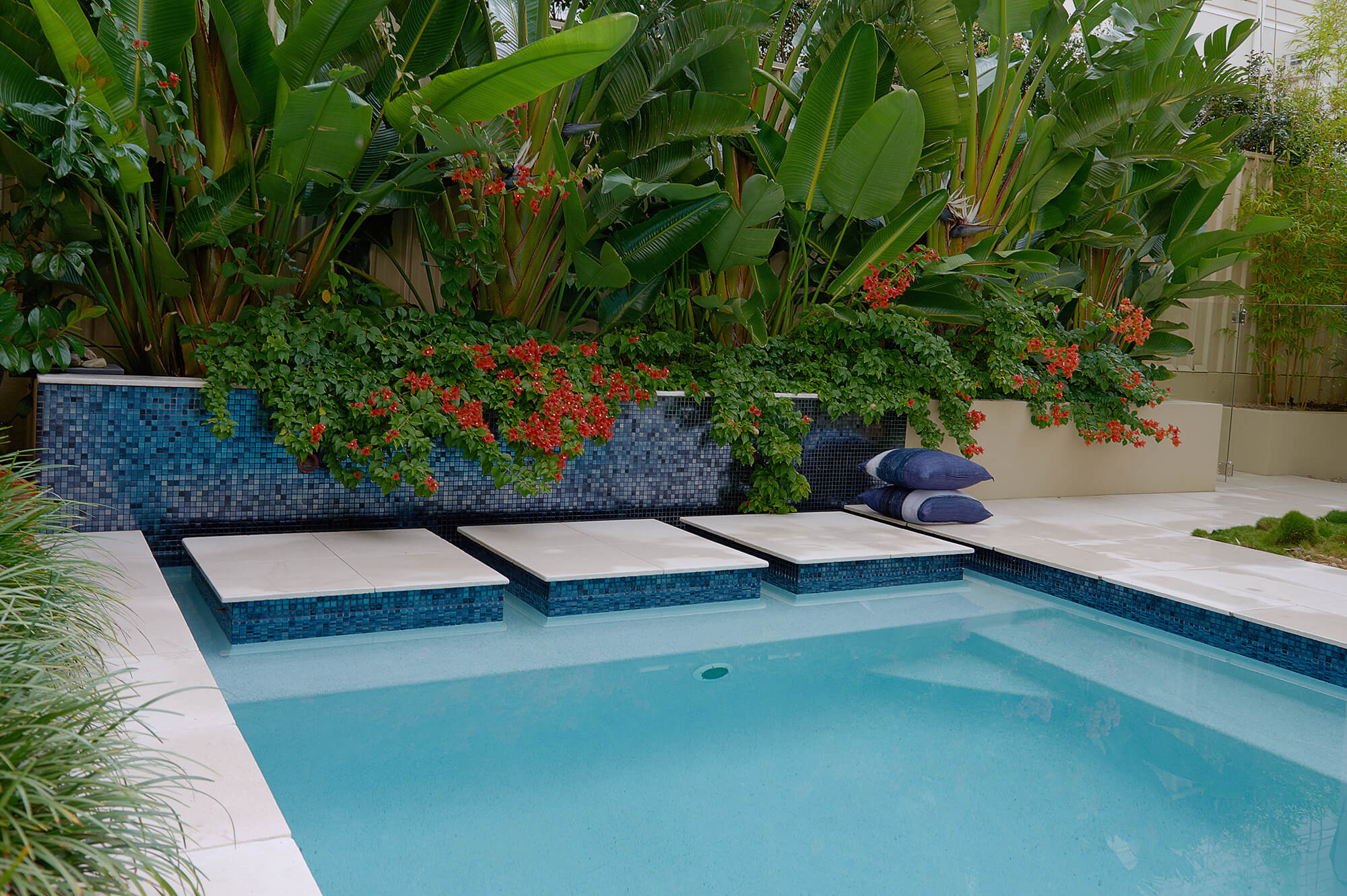Poolscaping Indooroopilly Boss Gardenscapes