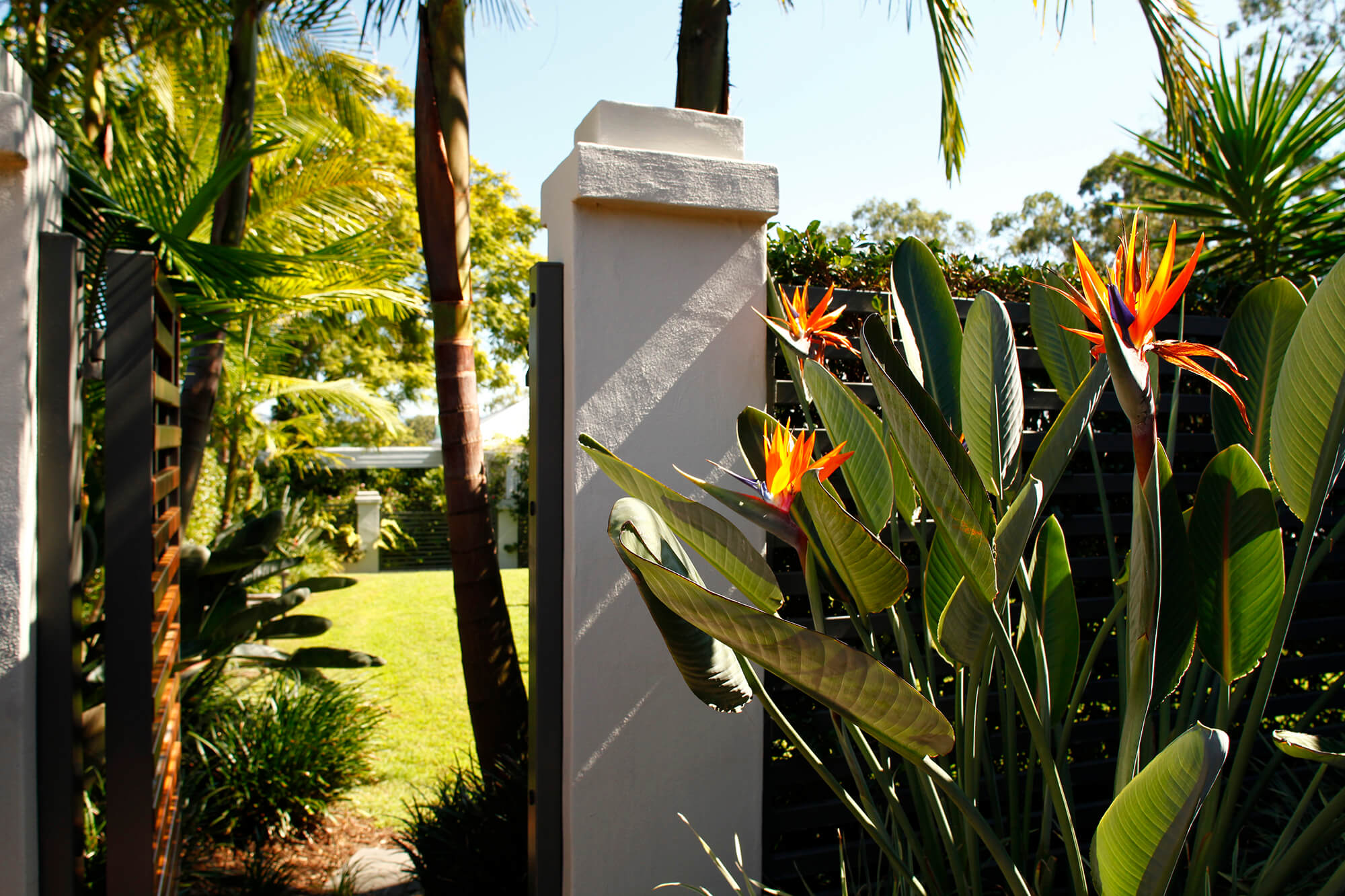 coorparoo tropical gate entry