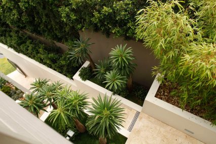 hamilton contemporary terraces