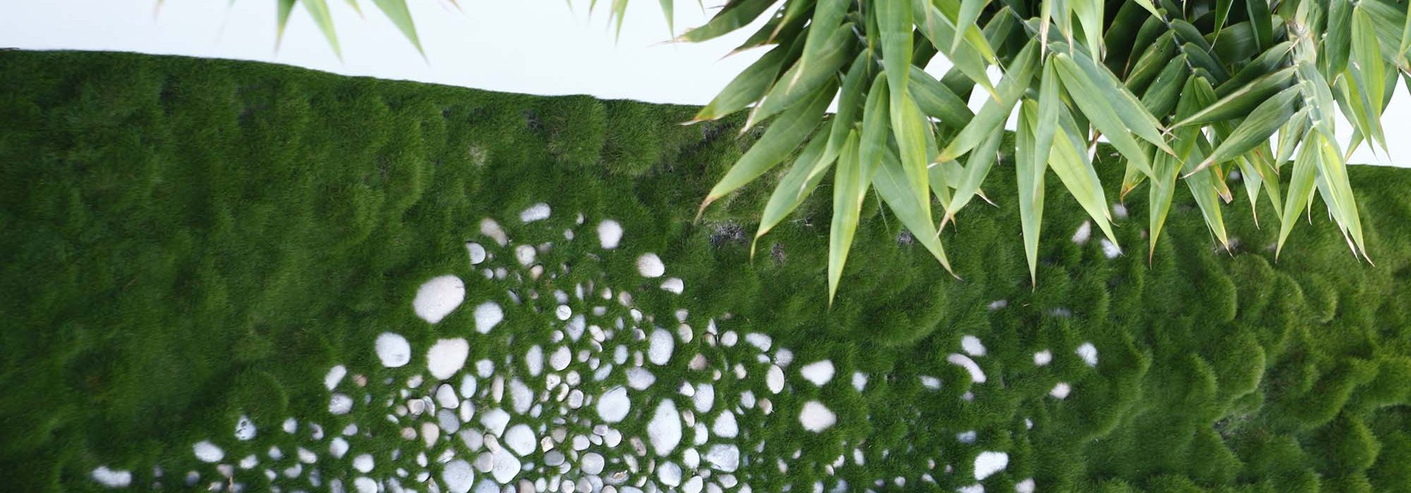 hamilton contemporary driveway