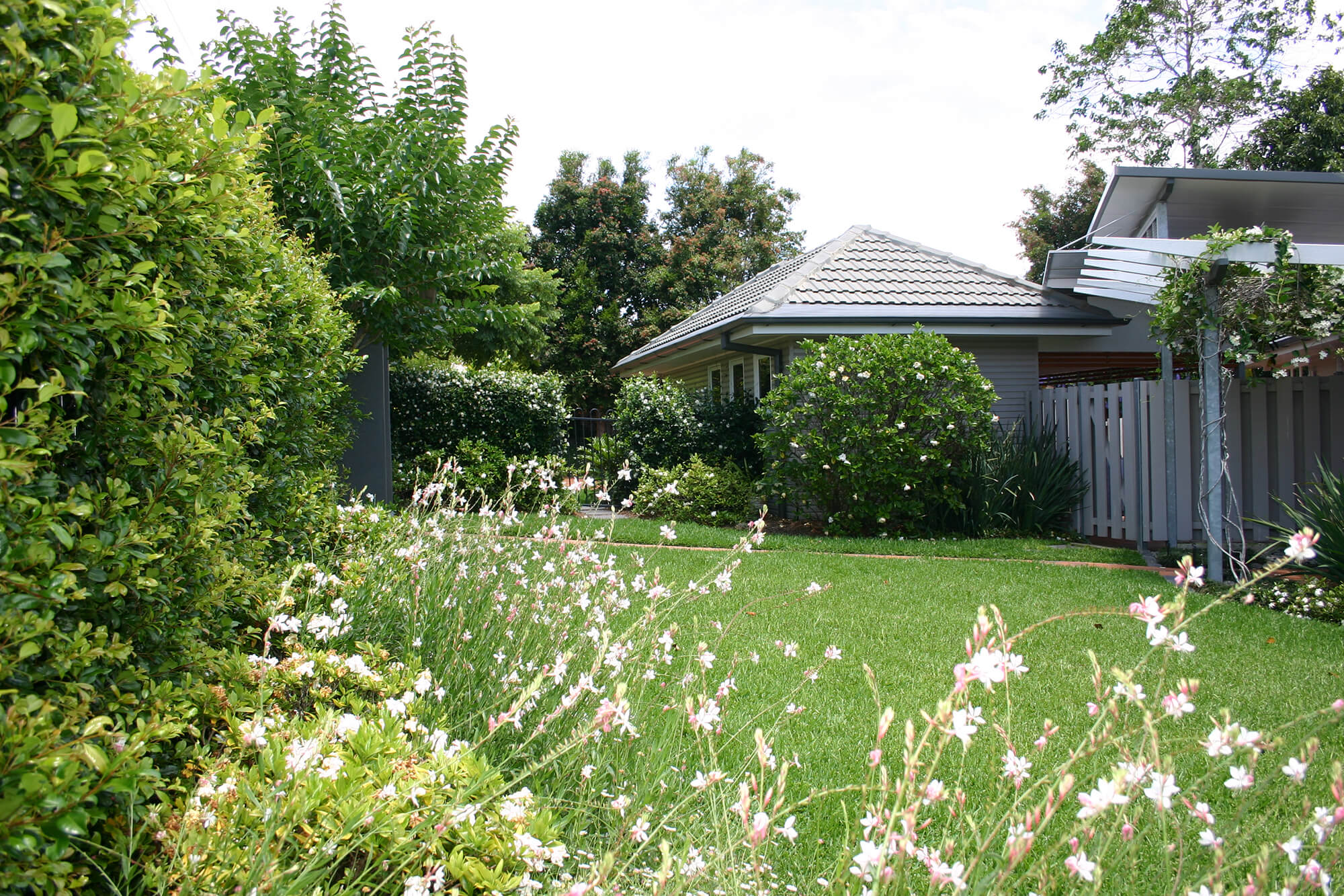 Garden rejuvenation Kenmore Boss Gardenscapes