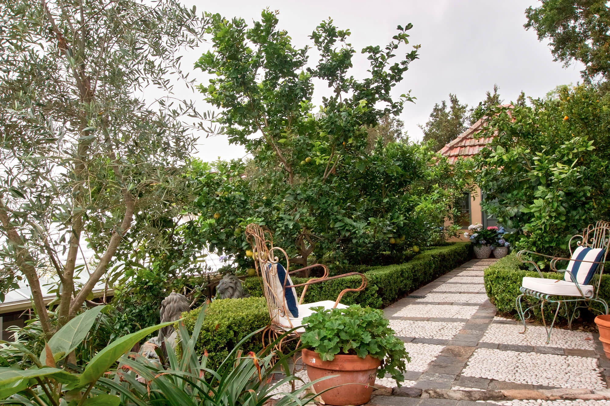 French provincial gardens Indooroopilly – Boss Gardenscapes