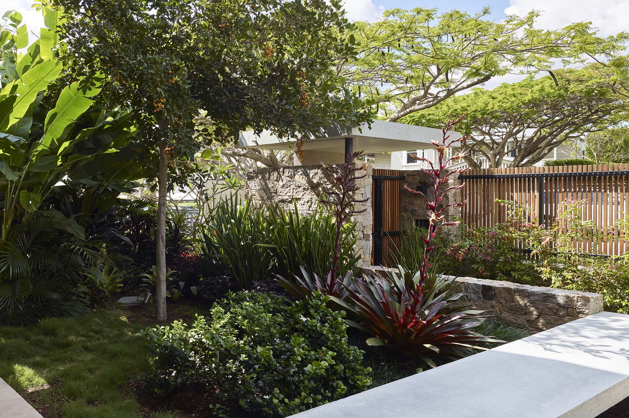 Lush tropical garden featuring Macarthurii palms Heliconia and flowering bromeliad highlighted with outdoor garden up lighting