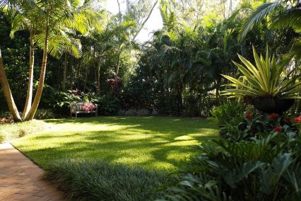 Tropical garden oasis featuring a bench Strelitzia reginae Palms Sacred Bamboo Bromeliads and a feature bowl containing Furcraea foetida