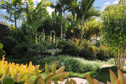 East Brisbane tropical planting creates a relaxed lifestyle garden