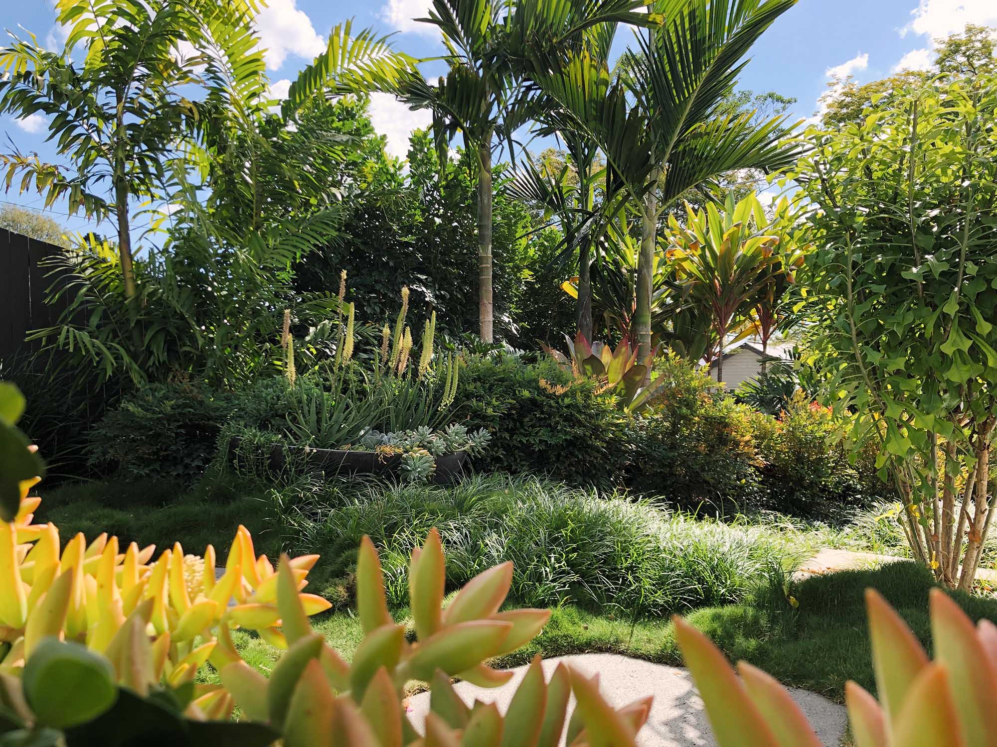 East Brisbane tropical planting creates a relaxed lifestyle garden