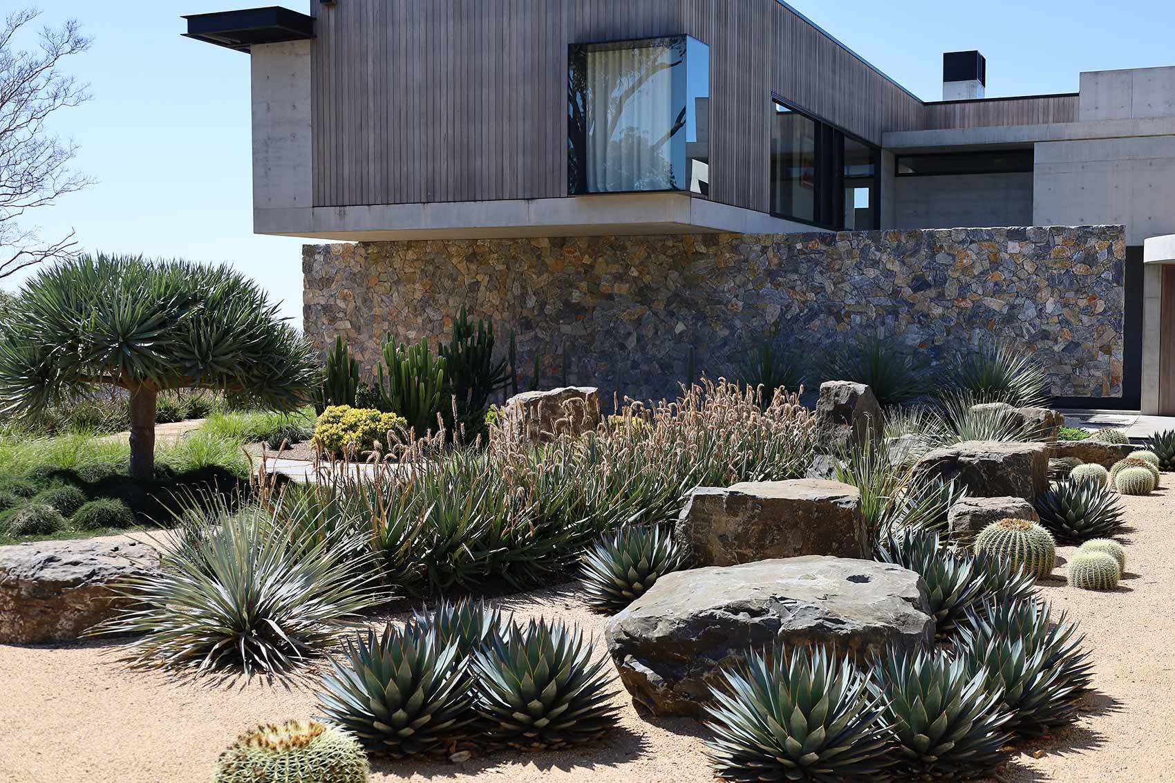 Deco pathways combined with carefully positioned oversized boulders provide the perfect backdrop for a mix of succulent plants